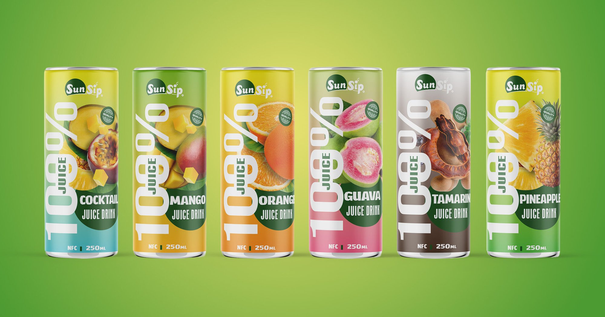 100% juice drinks 250ml can