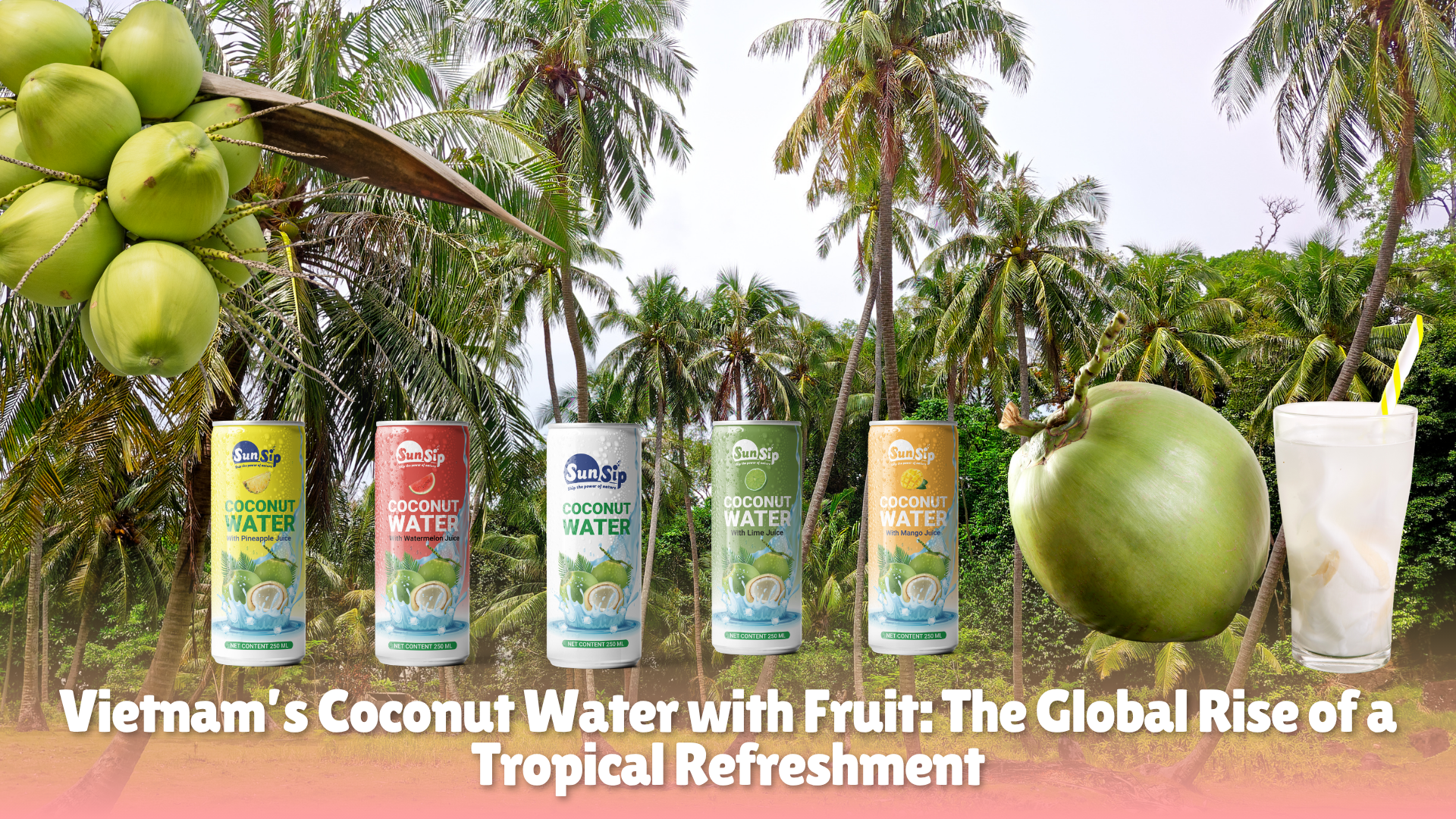 coconut water