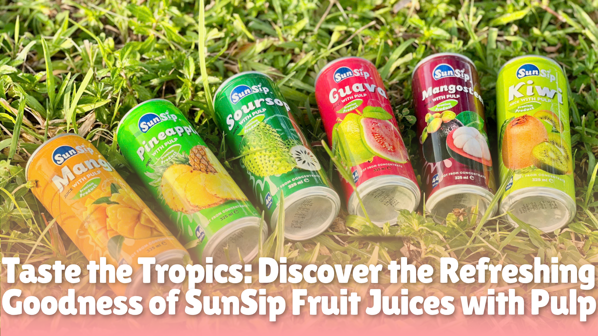 Sundip Jam Taste the Tropics: Discover the Refreshing Goodness of SunSip Fruit ...