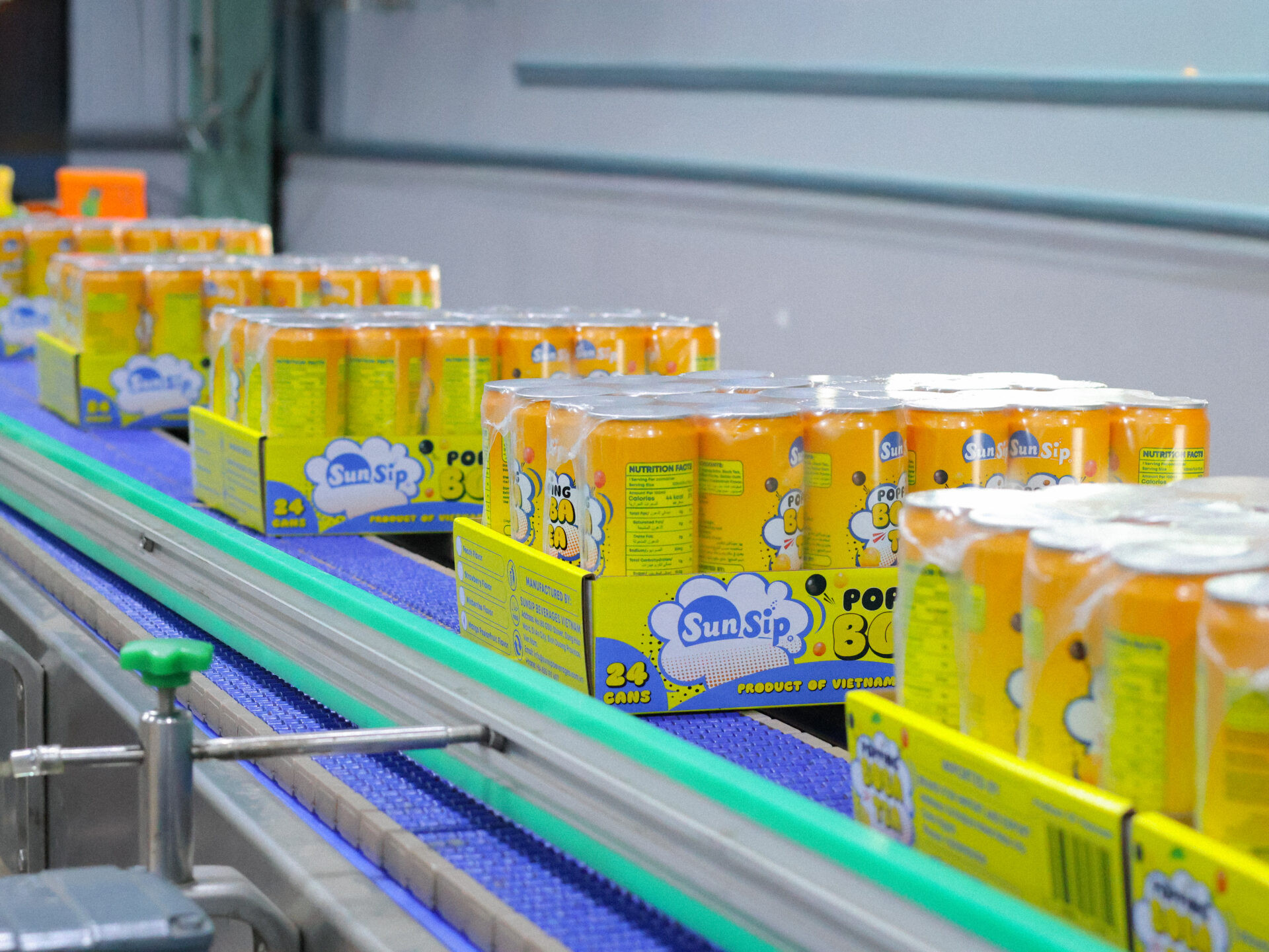 High-Performance Popping Boba Production Line