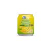 fruit juice